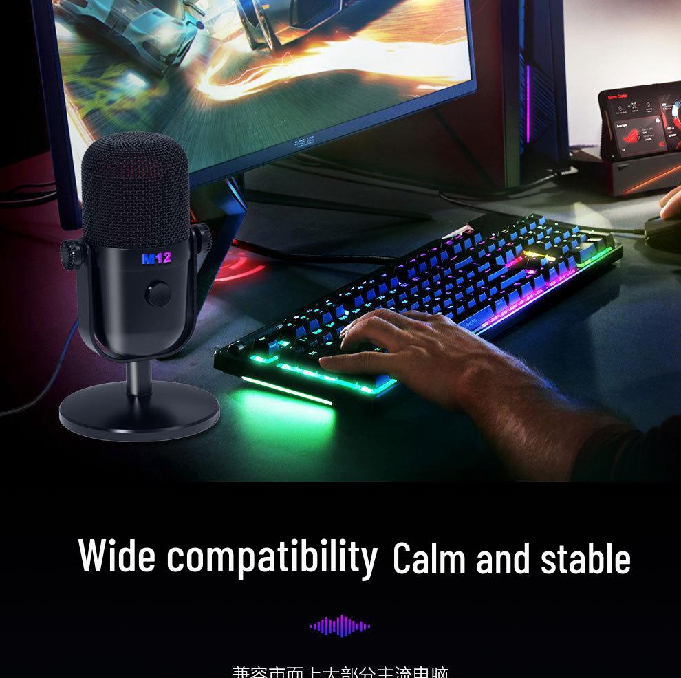 M12 RGB USB конденсаторный микрофон для киберспорта, игр, записи и прямых трансляций