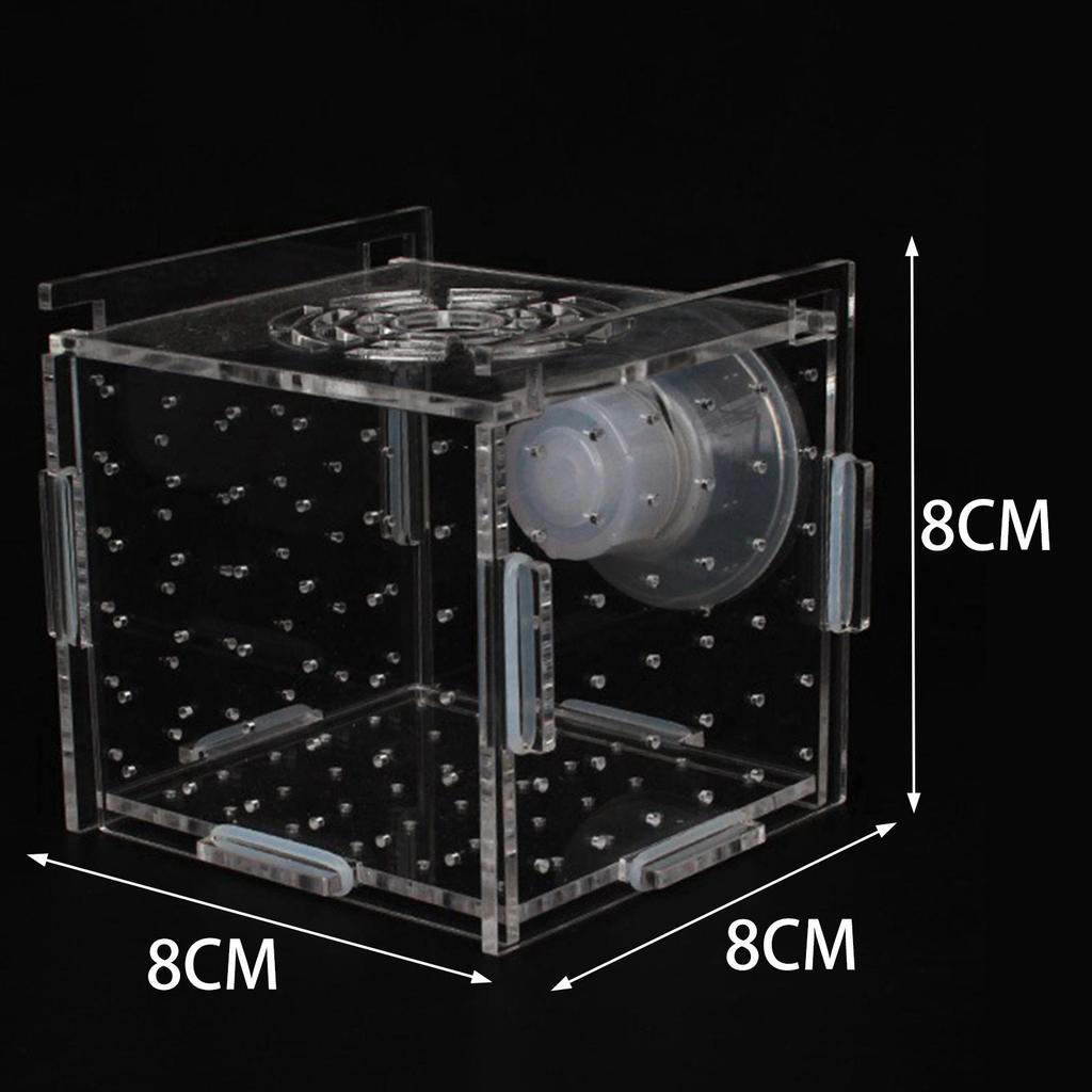 Aquarium Fish Breeder Box Square Suction Cup Hatching Incubator Box for Aggressive Fish Baby Prawn Shrimp Clownfish Newborn Fry