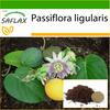Sweet Granadilla - 20 семян - С горшечным субстратом для лучшего выращивания - Passiflora ligularis