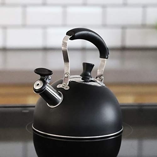Чайник со свистком Pearl Metal с широким горлышком, 1,6 л, Лимитированная серия, Черная нержавеющая сталь, BLKP, AZ-5014
