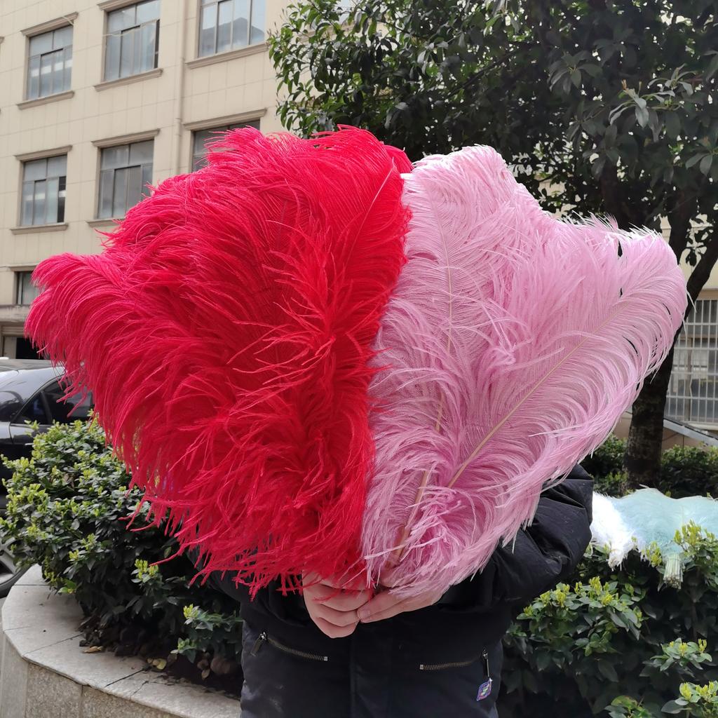 15-60Cm Natural Ostrich Feathers | High-Quality For Diy, Wedding, Party, Stage, Costume & Home Decor | Various Colors Available