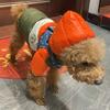 Одежда для собак, осенне-зимняя одежда для домашних животных, водонепроницаемые толстовки для собак, пальто, куртка для щенков, теплая одежда для домашних животных, мягкая одежда для домашних животных, чихуахуа, французский бульдог