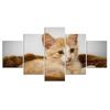 5 шт., рыжий кот, котенок, современные картины, холст, картины, настенное искусство, HD печать, домашний декор, декор комнаты без рамки, 5 шт., плакат