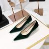 Fashionable Banquet Women's Shoes: Thin Heel Mid Heel Shallow Mouth Pointed Tip Thick Velvet Face Single Shoes