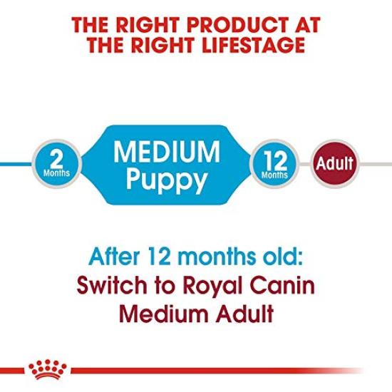 Royal Canin SHN Medium Junior Dog 10kg