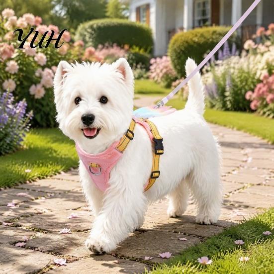 Secure Training Harness No Pull Dog with 5Ft Leash, Cute Colorful Wings Harness, Adjustable Gradient Wing Reflective Vest Handle for Walking