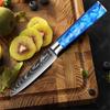WXCOO Professional Kitchen Knife Blue Resin Handle Japanese Santoku Knife Laser Damascus Pattern Utility Knife With Gift Box