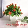 Fake Miniature Daisy Plant Decor With Plastic Craftsmanship For Living Spaces