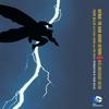 Batman The Dark Knight Returns 30th Anniversary Edition by Frank... 9781401263119