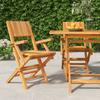 vidaXL Klappstühle, 2 Stück, 55 x 61 x 90 cm, Massivholz Teak