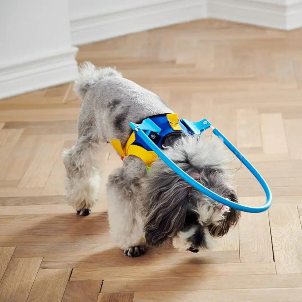 New Protective Blind Pet Anti-collision Guide Training Behavior Aids Collar for Small and Big Dogs - Prevent Collisions - Essent