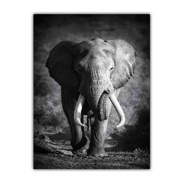 Animal Canvas Painting Elephant Black and White Poster Office Wall Painting Living Room Corridor Home Decoration Mural No Frame