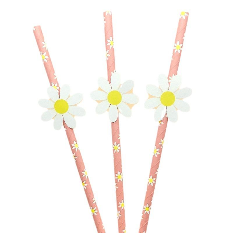 Creative Pink Daisy Party Straws with Decorative Card