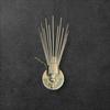 1-ламповый настенный светильник Mid-Century Brass Golden Sputnik, современный домашний декор для гостиной, кухни, спальни, офиса