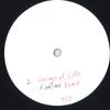 12-дюймовая пластинка WEEKENDER - Strings Of Life (X Позвони мне ремикс) BACK007 БЕЗ ЛЕЙБЛА Неизвестная Танцевальная и Электронная Б/У
