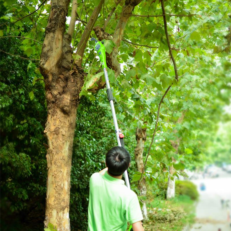 Greenworks GJ4 Cordless Pole Saw CN plug (adapter included)