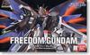 HG Freedom Gundam Suit Gundam 1/144 ZGMF-X10A (Mobile SEED)