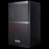 TAKSTAR TKS-100 10-inch Full-Range Speaker (CN version)