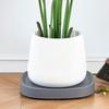 Heavy Duty Flower Pot Mobile Tray Square Rolling Plant Tray Universal Wheel Mobile Base  Indoor