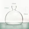 Hydroponics Seed Starter Vase Transparent Aromatherapy Bottle New Seed Growing Kit  Gift