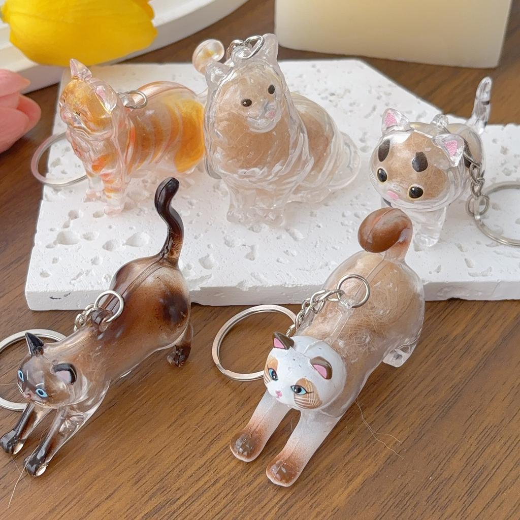 New Cat Hair Storage Keychain Bag Pendant Transparent Pet Fur Keepsake Capsule Souvenir Collection Gift Decoration Accessories
