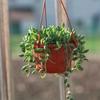 1pc Plant Hanger Durable Flower Pot Holder Hanging Flower Basket Hook Hanger Durable Flower Pot Holder Garden Planter Hooks