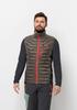 Куртка Jack Wolfskin Routeburn Pro Ins Vest Men cold coffee
