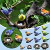 4PCS Micro Landscapes Mini Bird Figurines Nest of Bird Figures Animal Model Fairy Garden Decoration Home Decor Bonsai Ornaments