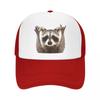 Модная бейсболка с изображением енота WoUnisex Унисекс Дышащая шляпа дальнобойщика Производительность Snapback Шляпы Летние кепки