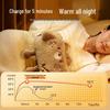 SOTHING Cute Bear Rechargeable Hot Water Bottle