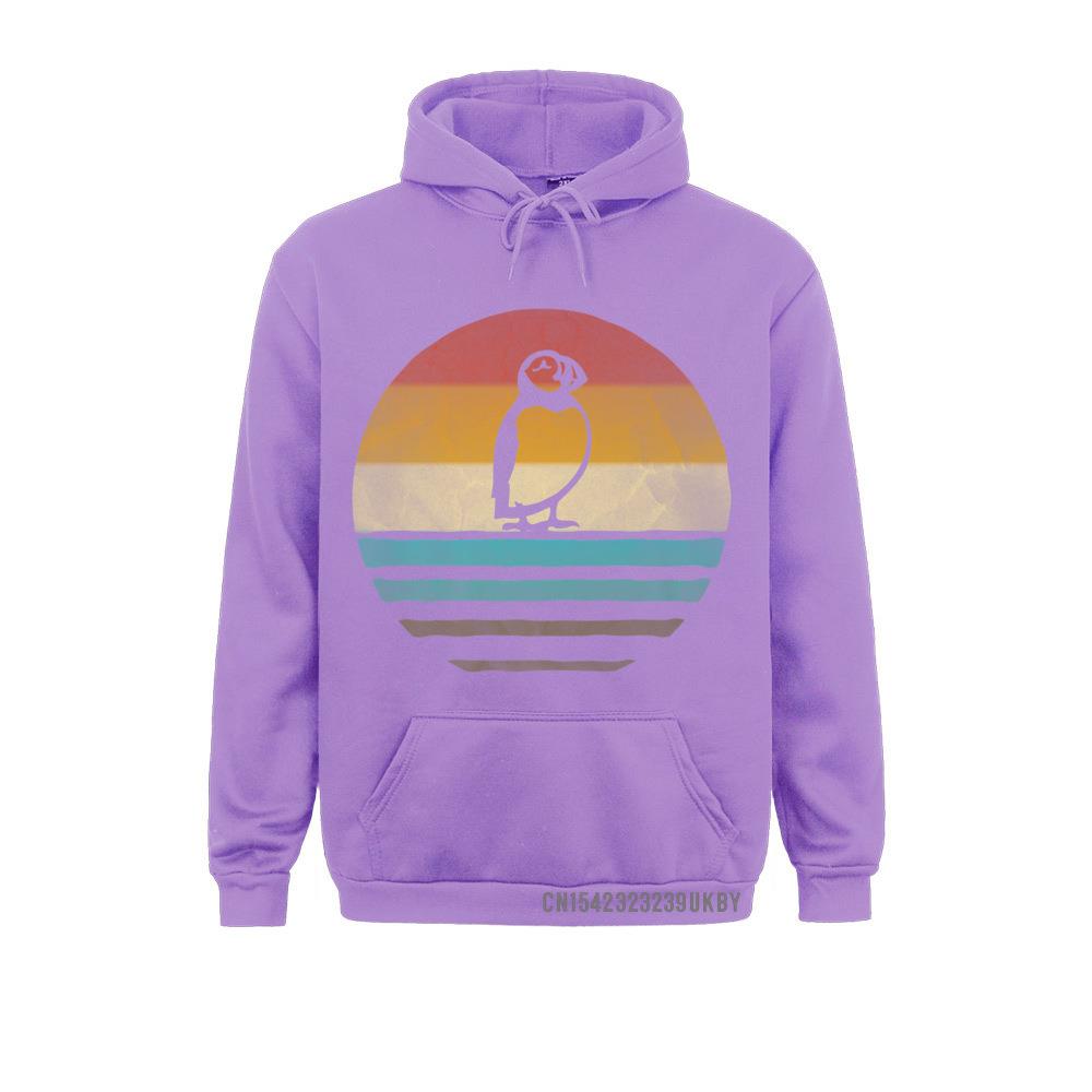 Толстовки с капюшоном в стиле ретро, ​​винтажные толстовки унисекс с закатом, тупиком, птицей, морской птицей, милые, забавные, премиум-класса, толстовки унисекс с длинными рукавами, обычный райф