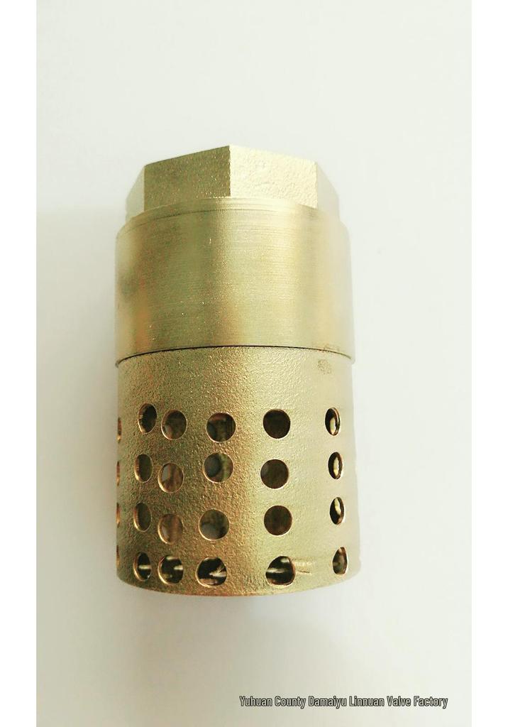 Brass Vertical Low Pressure One-Way Check Valve with Filter