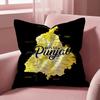 ART Punjab Map Cushion Cover Multi-Scene Pillow Cover for Home & Car - Reversible, Soft & Durable for Daily Use