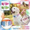 Постепенный взрывозащищенный метод контроля собаки Регулируемая ручка для ошейника питомца