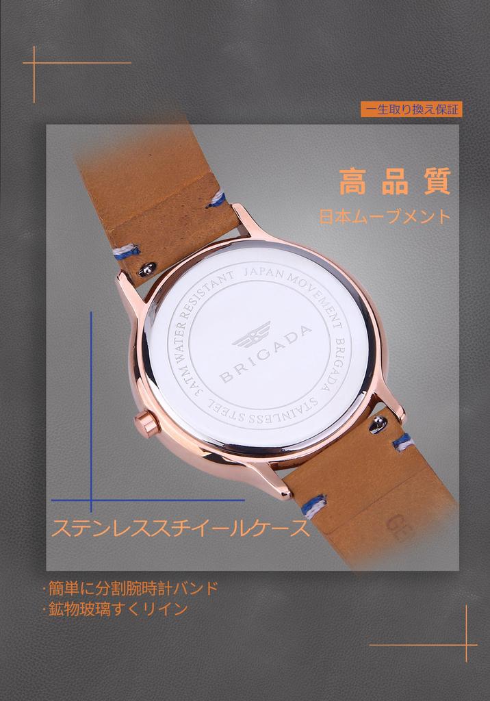 BRIGADA Swiss Brand Watch Popular Luxury Watch Men's (Barakin)