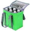 Epios Pop Color Insulated Cooler Bag (Fits 6 X 500ml Bottles) Green