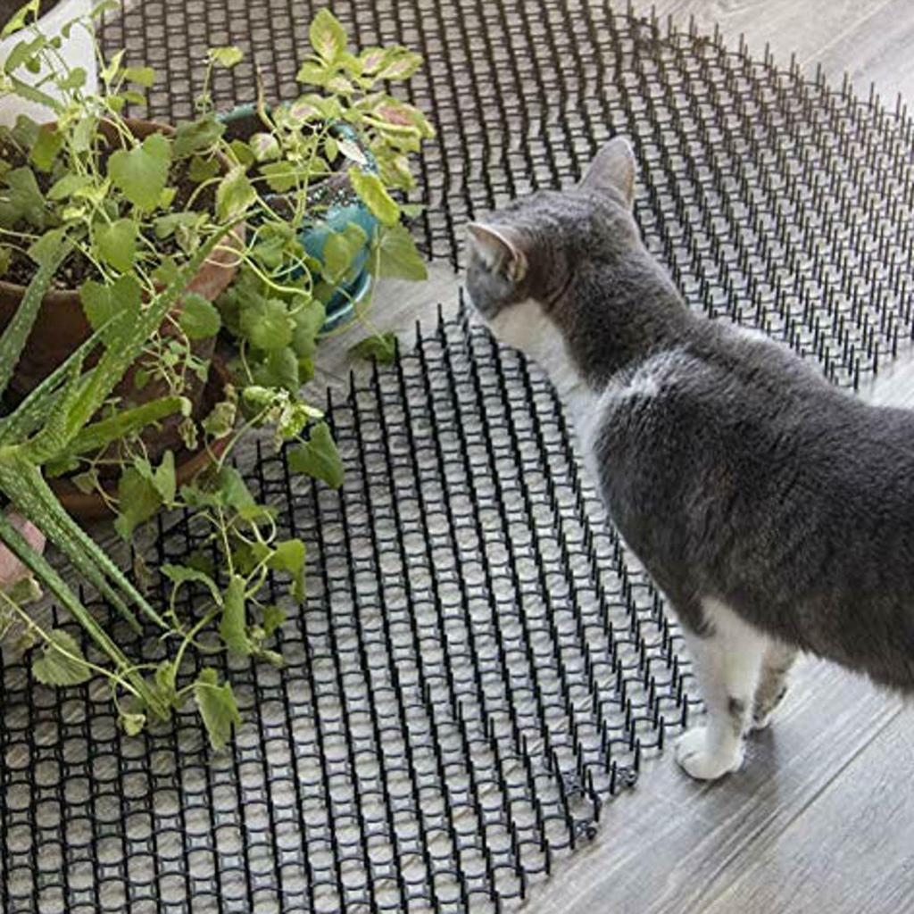 10 шт. репеллентные коврики + 10 шт. U-образные ногти садовые полоски от колючек Dig Stop репеллент для кошек и собак