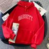 Графическая одежда Джошуа Бассетт The Golden Years Tour Толстовки Зимние свитера с капюшоном Sudaderas Повседневная женская/мужская толстовка для девочек