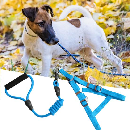 Жилет для домашних животных с поводком Регулируемая быстроразъемная пряжка с защитой от побега Маленькая и большая нагрудная шлейка для кошек и щенков Тяговая веревка Товары для домашних животных