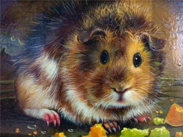 5d Алмазная картина Новые поступления Морская свинка Вышивка крестиком Домашняя крыса Мозаика Мышь Домашний декор