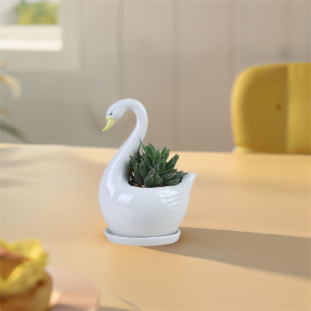 Creative White Swan Flower Pot Personalized Animal Vase Hydroponic Flower Holder  Birthday