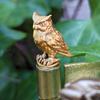 Animal Hinge Head Magnetic Metal Door Hinge Decorative Topper Mini Bird/Owl/Fox/Rat Hinge Cap Figurine for Vintage Home Decor