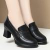 High Heels for Women 2025 Spring Slip On Pointed Toe Platform Heels Chunky Loafers Woman Black PU Leather Uniform College Shoes