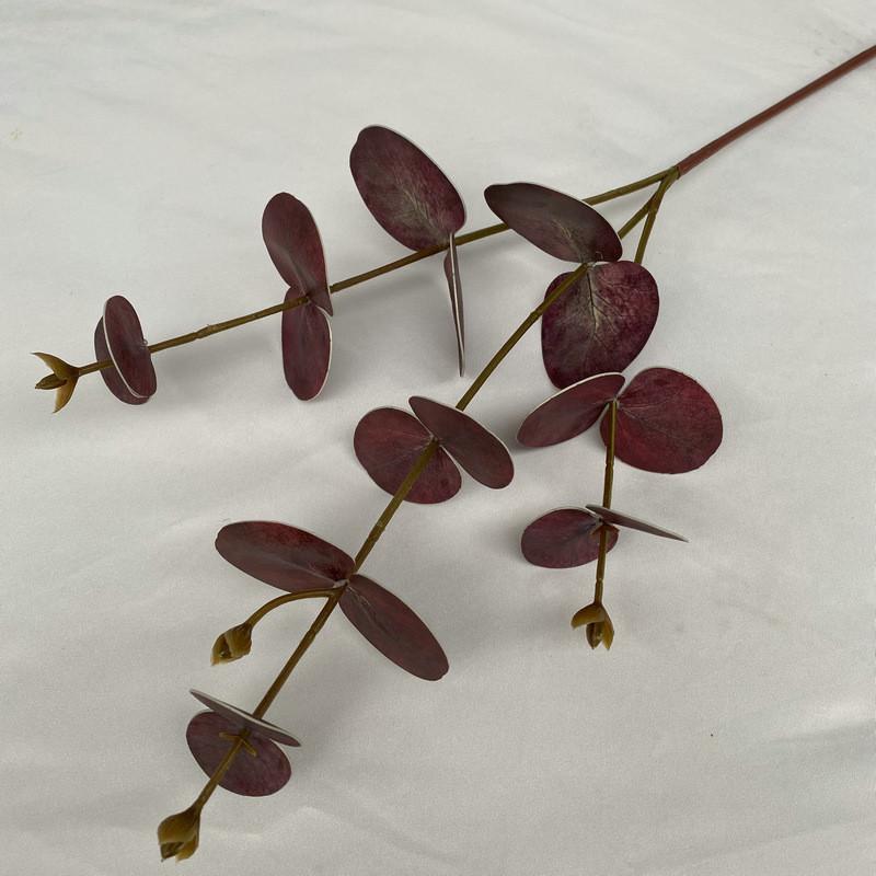 Стебли листьев эвкалипта для внутреннего и наружного свадебного украшения, подарок