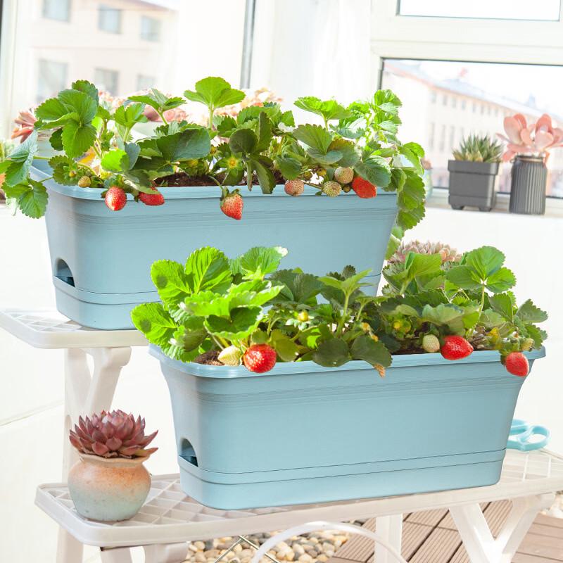 MOJY Rectangular Self-Watering Planter