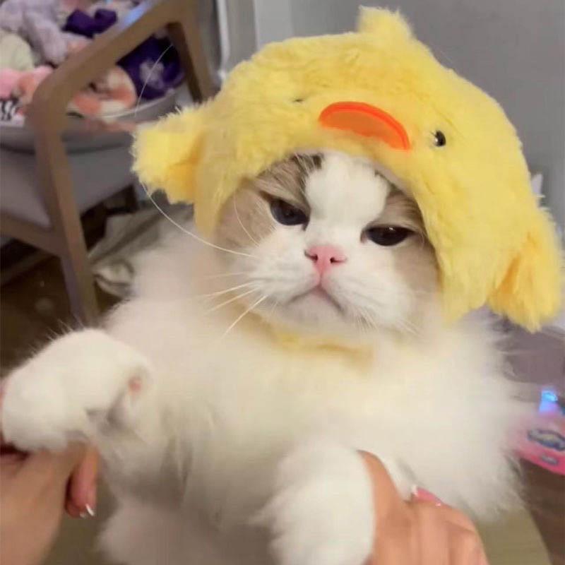 Cute Cat Costume Warm Hat Adorable Plush Pig/Chicken Shape Pet Hat Suitable for Small Dog Kitten Puppy