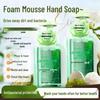 STARCHANGE Foaming Antibacterial Hand Soap
