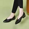 Foreign Trade Shallow Single Shoes Spring 2025 New Thick Heel Soft Sole Leather Shoes Women's Shoes Pointed Thick Heel Grandma Shoes