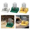 Automatic Reptile Water Dish Drinking Tool Container Easy to Clean Feeder Station Dispenser