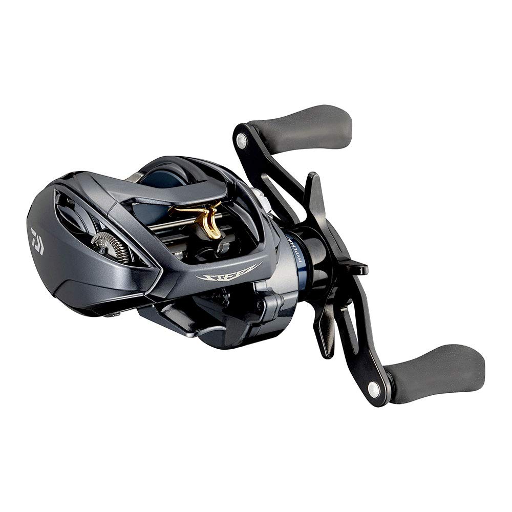 Daiwa 21 Steez A TW HLC 7.1L